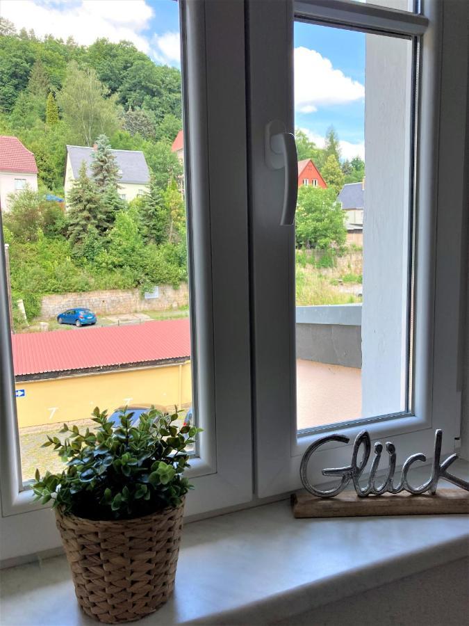 Sandstein-Ferien, Kamin, Fewo "Wanderfalke", Zentral & Ruhig, Terrasse, Saechs Schweiz Königstein an der Elbe Kültér fotó